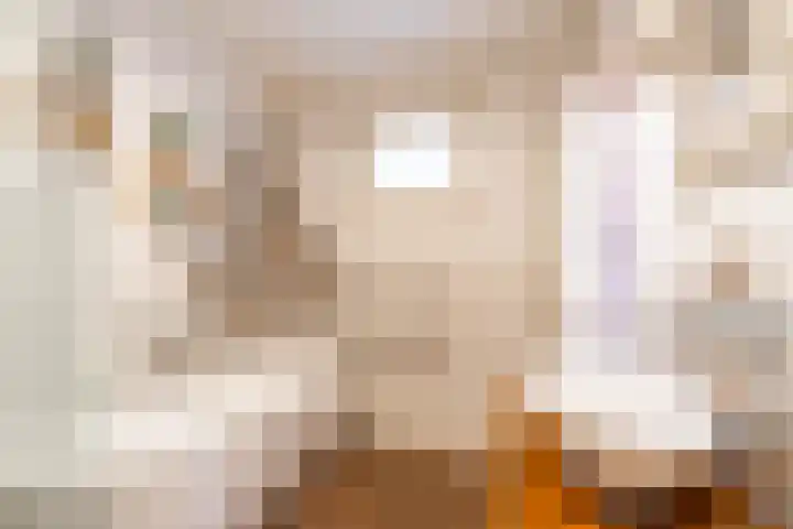 2e Messstraat 7 Den Haag thumbnail 29