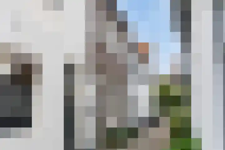 2e Steeg 1 3 Hattem thumbnail 6