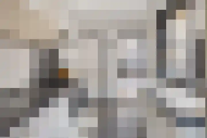 2e Weerdsweg 1 Deventer thumbnail 10