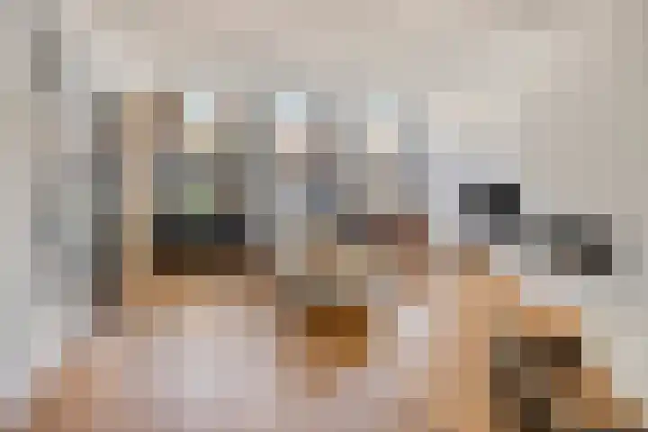 2e Weerdsweg 1 Deventer thumbnail 4
