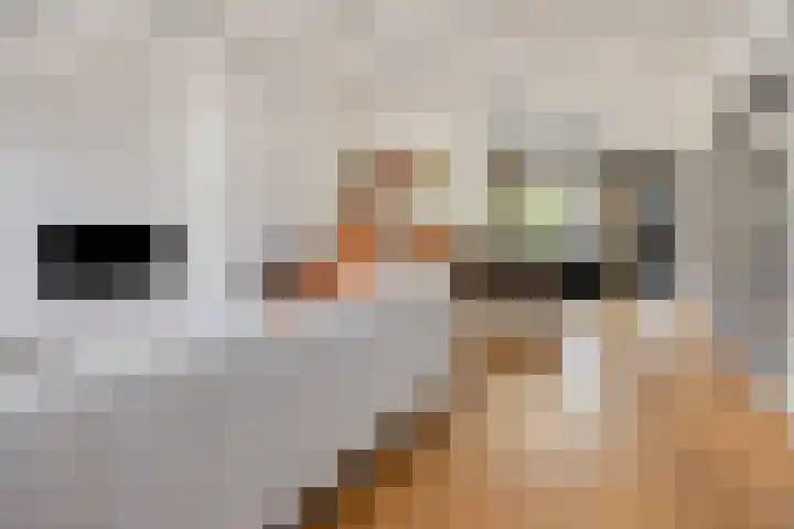2e Weerdsweg 1 Deventer thumbnail 7
