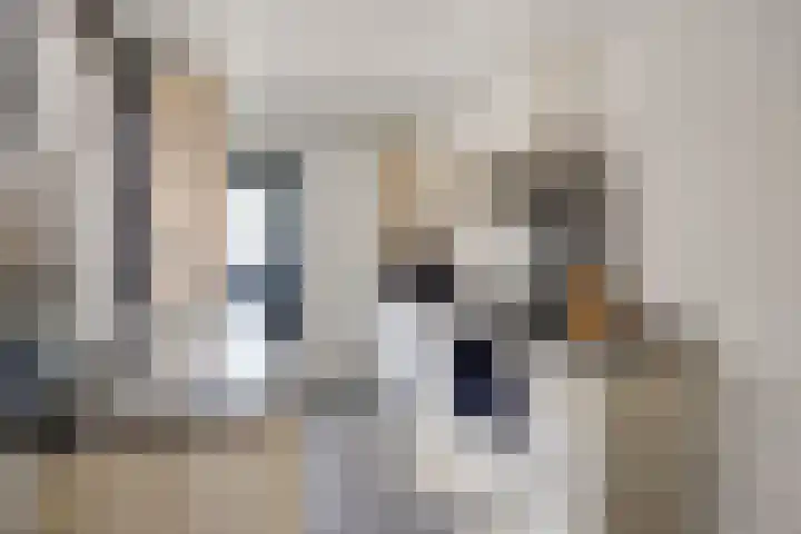2e Weerdsweg 1 Deventer thumbnail 9