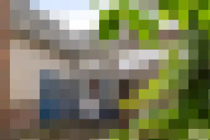 2e Weerdsweg 2 Deventer thumbnail 19