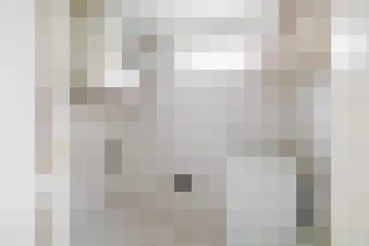 3e Poellaan 41 Lisse thumbnail 13