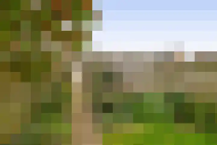 3e Poellaan 41 Lisse thumbnail 20