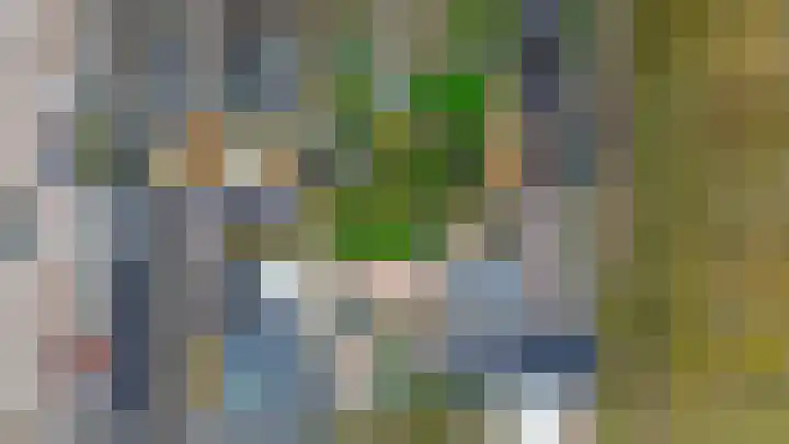 3e Poellaan 41 Lisse thumbnail 26
