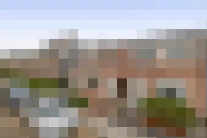 3e Poellaan 41 Lisse thumbnail 27