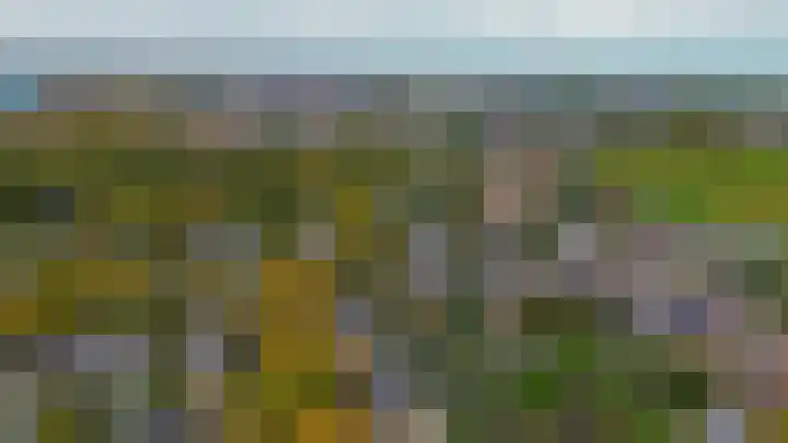 3e Poellaan 41 Lisse thumbnail 30