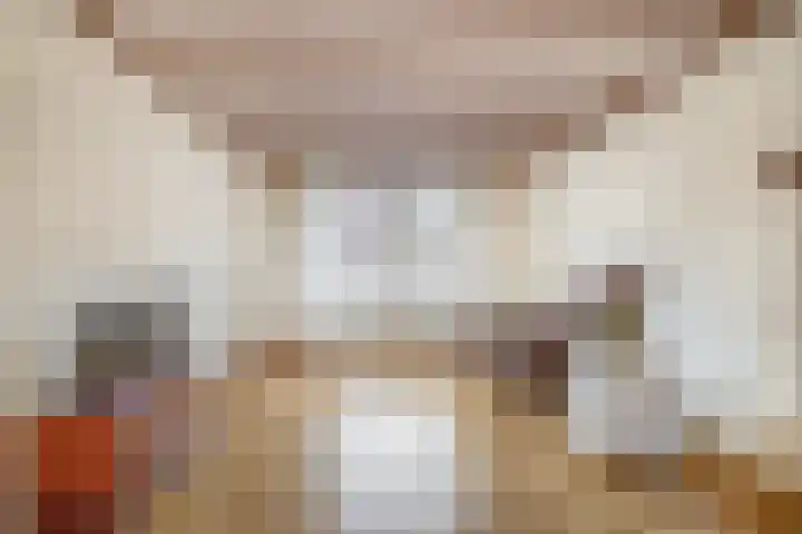 3e Poellaan 41 Lisse thumbnail 8