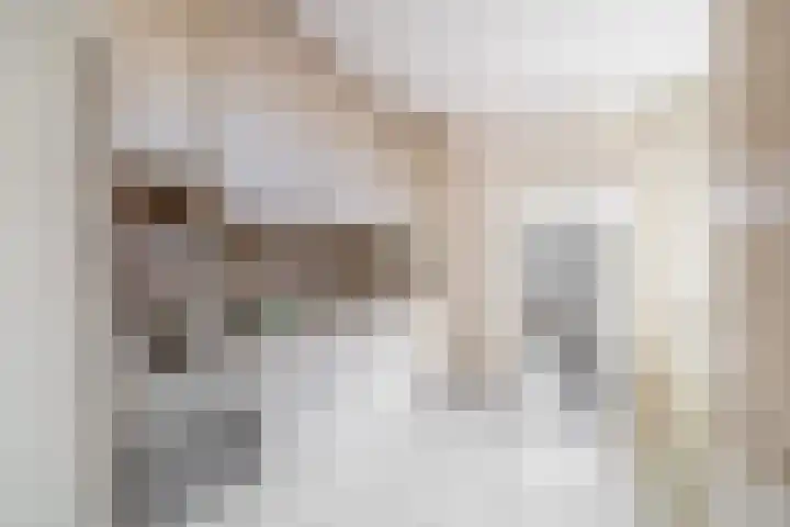 3e Poellaan 41 Lisse thumbnail 9