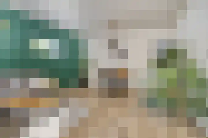 3e Woudstraat 9 Sneek thumbnail 14