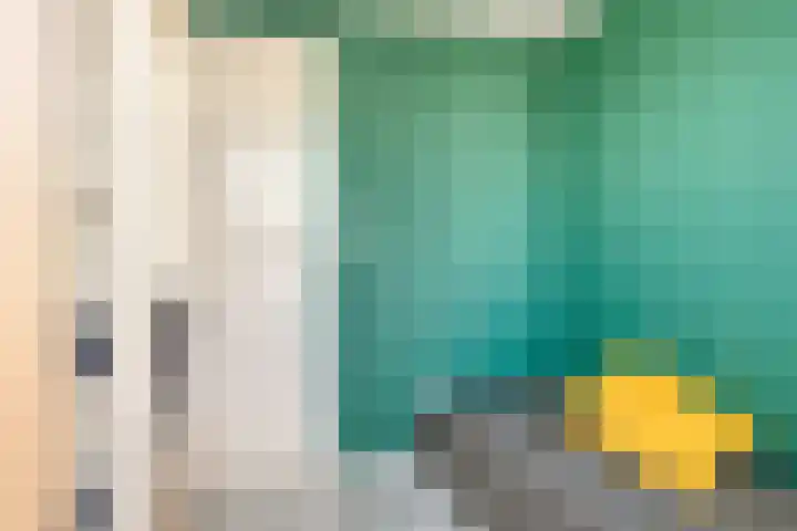 3e Woudstraat 9 Sneek thumbnail 33