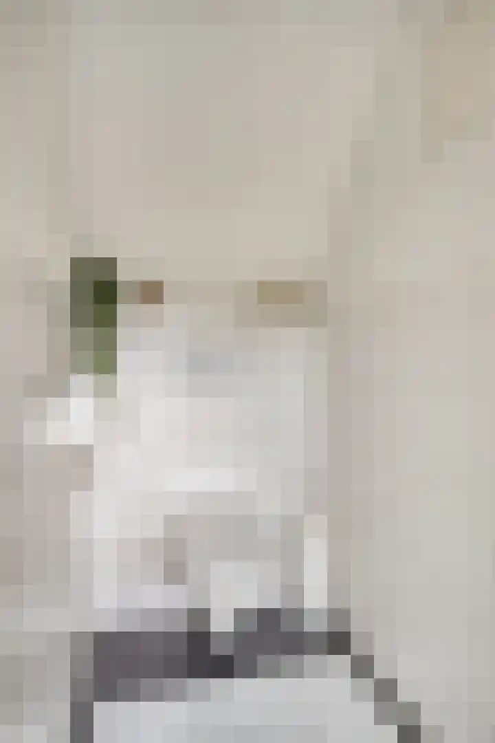 3e Woudstraat 9 Sneek thumbnail 9