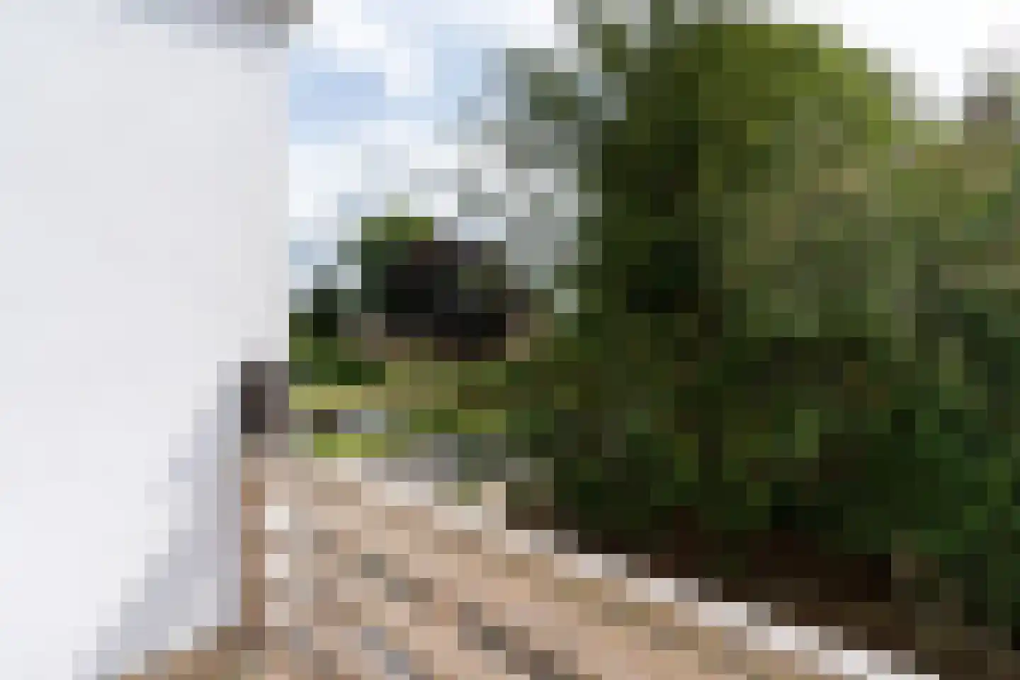 42e laan 2 Wildervank thumbnail 16