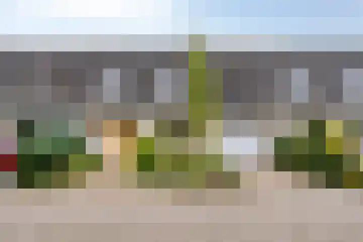 42e laan 2 Wildervank thumbnail 18