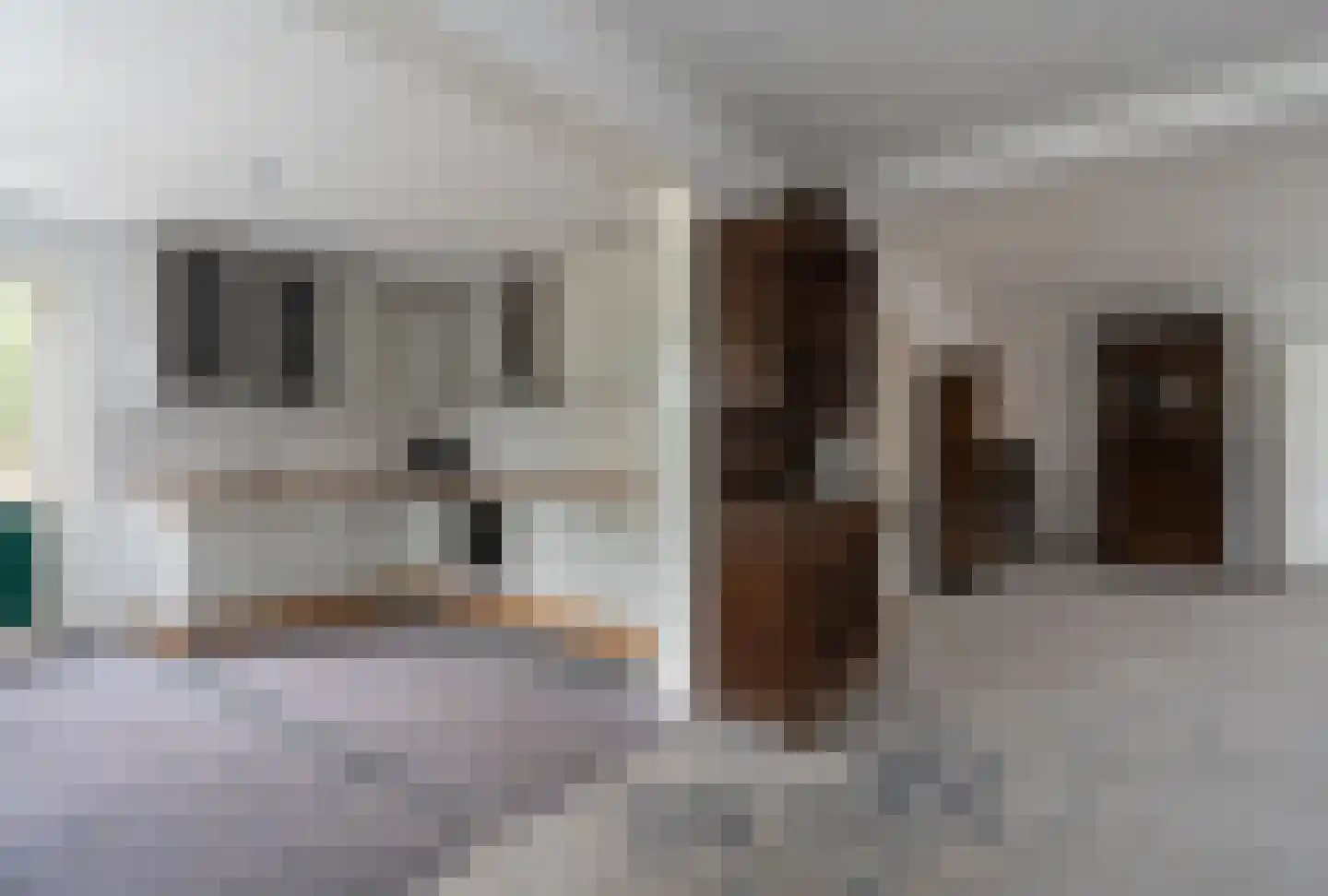 42e laan 2 Wildervank thumbnail 28