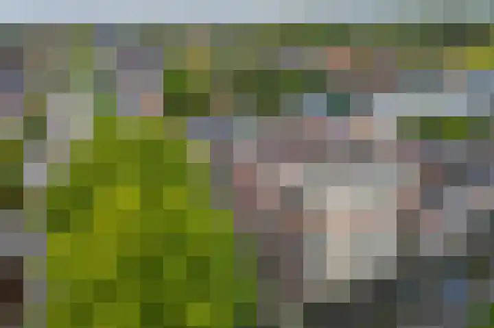 5e laan 2 31 Wildervank