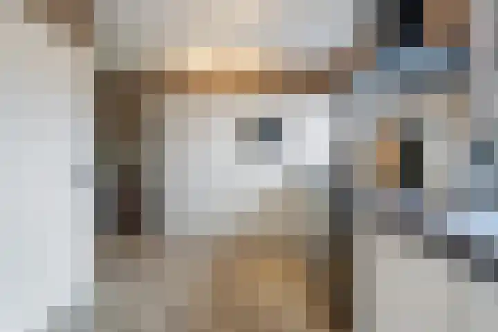 60e laan 5 Wildervank thumbnail 16