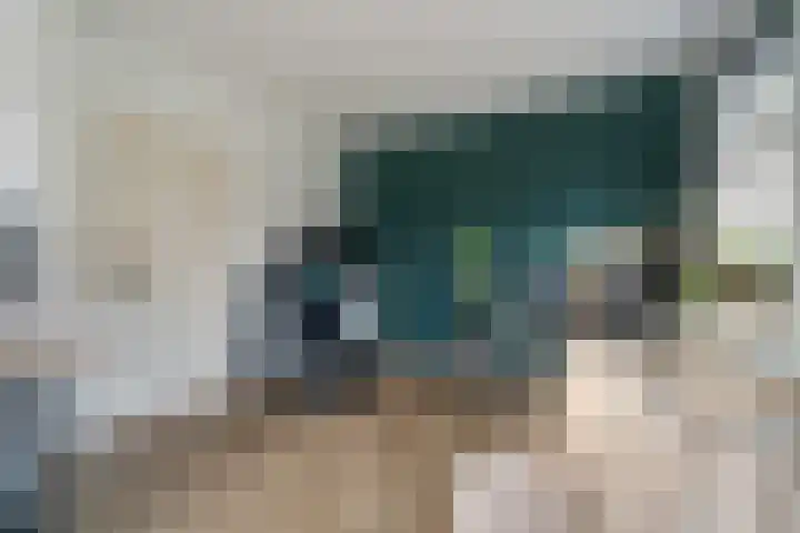 60e laan 5 Wildervank thumbnail 20
