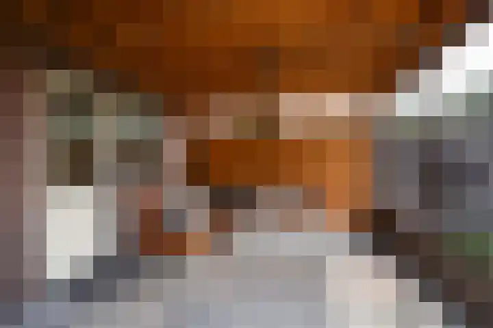 60e laan 5 Wildervank thumbnail 24