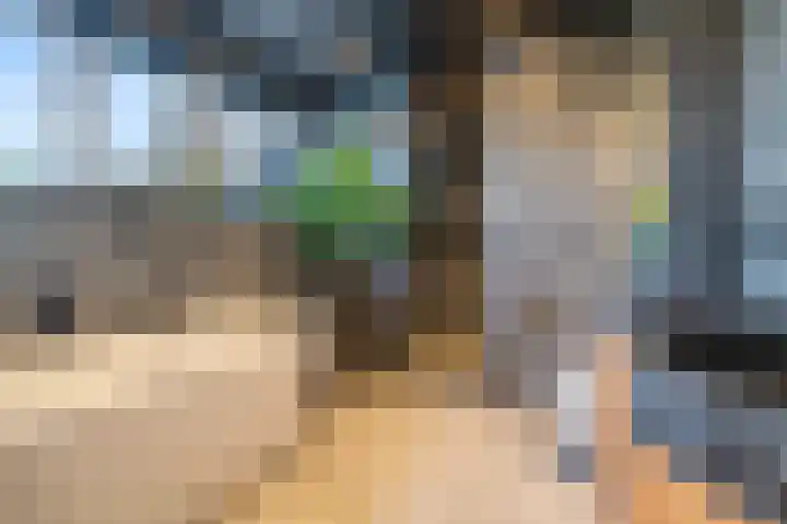 60e laan 5 Wildervank thumbnail 28