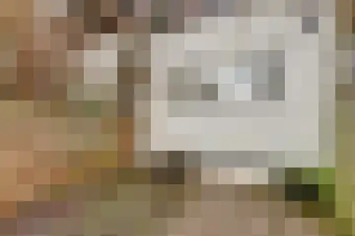 60e laan 5 Wildervank thumbnail 32