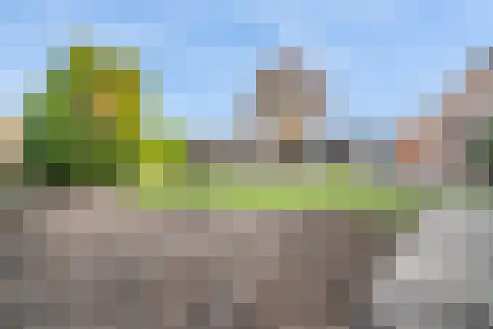 60e laan 5 Wildervank thumbnail 33