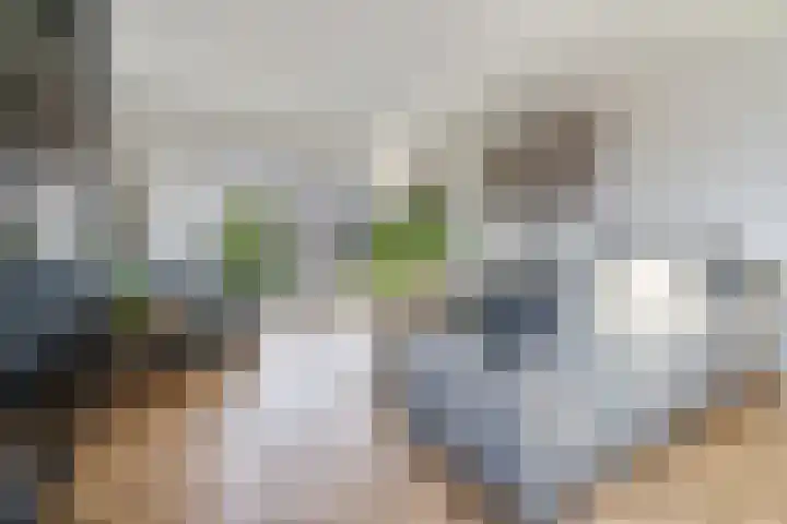 60e laan 5 Wildervank thumbnail 4