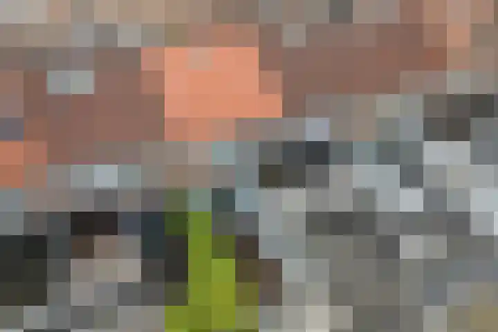 60e laan 5 Wildervank thumbnail 44