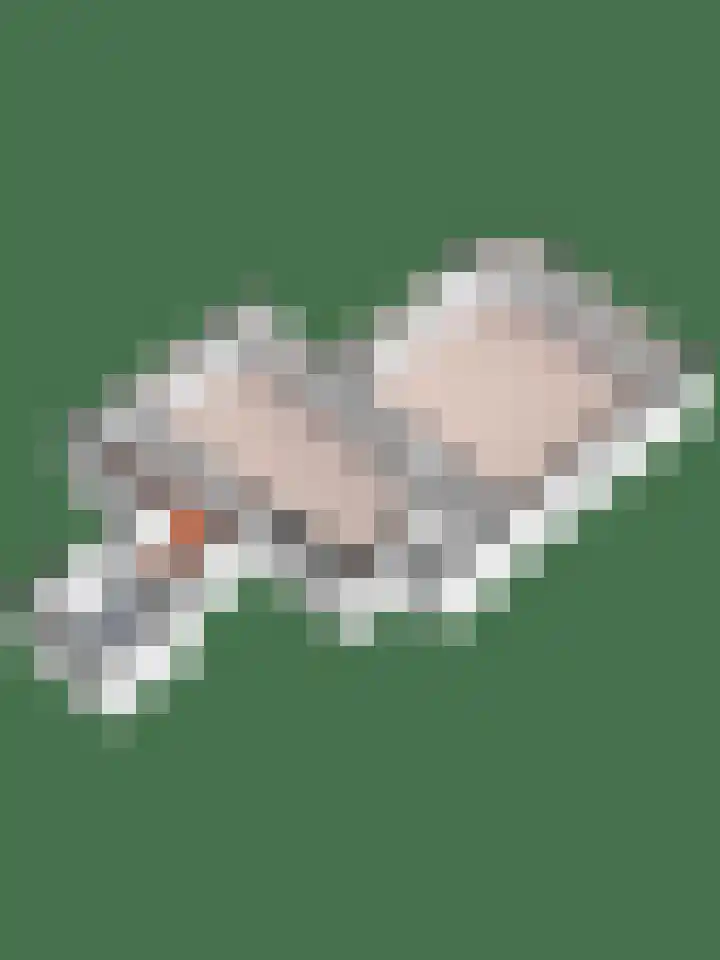 60e laan 5 Wildervank thumbnail 45