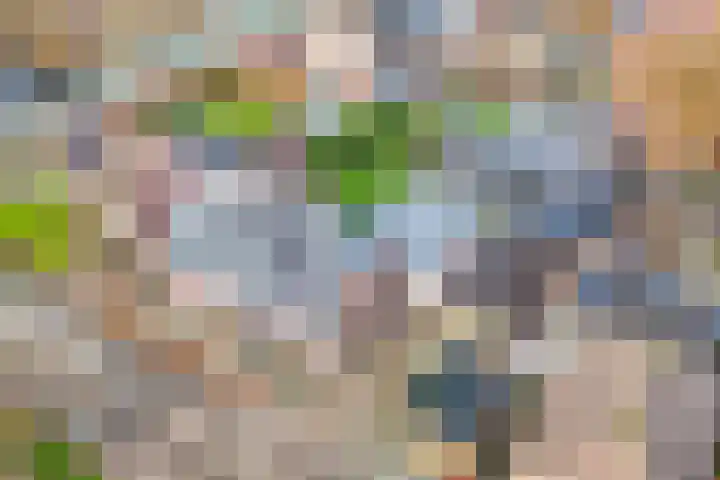 60e laan 5 Wildervank thumbnail 50