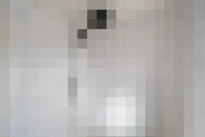 A.C. de Graafstraat 7 Wieringerwerf thumbnail 22
