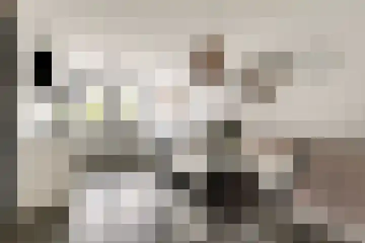 A. Commandeurlaan 89 Spanbroek thumbnail 18