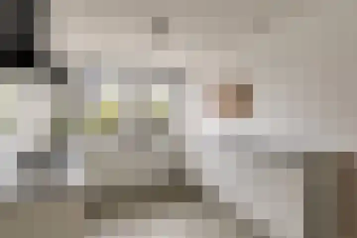 A. Commandeurlaan 89 Spanbroek thumbnail 19