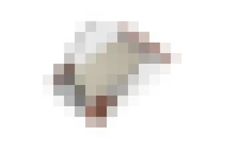 A. Commandeurlaan 89 Spanbroek thumbnail 41