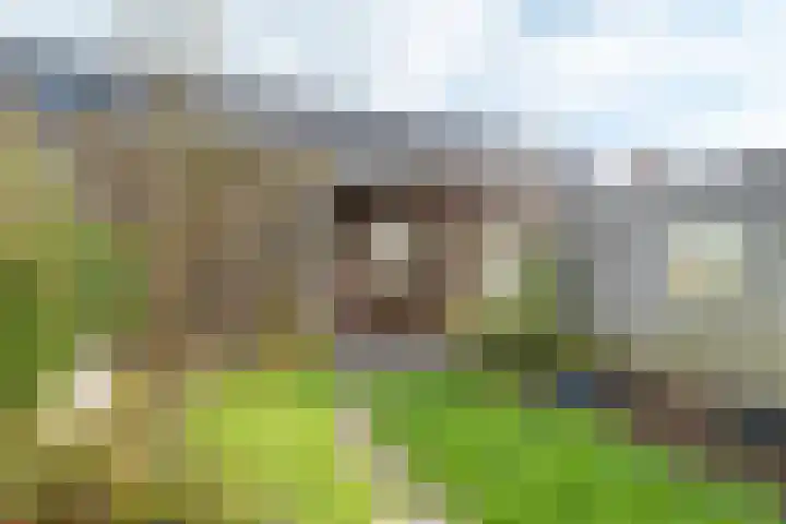 A. Commandeurlaan 89 Spanbroek thumbnail 49
