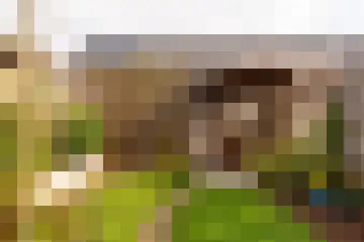 A. Commandeurlaan 89 Spanbroek thumbnail 50