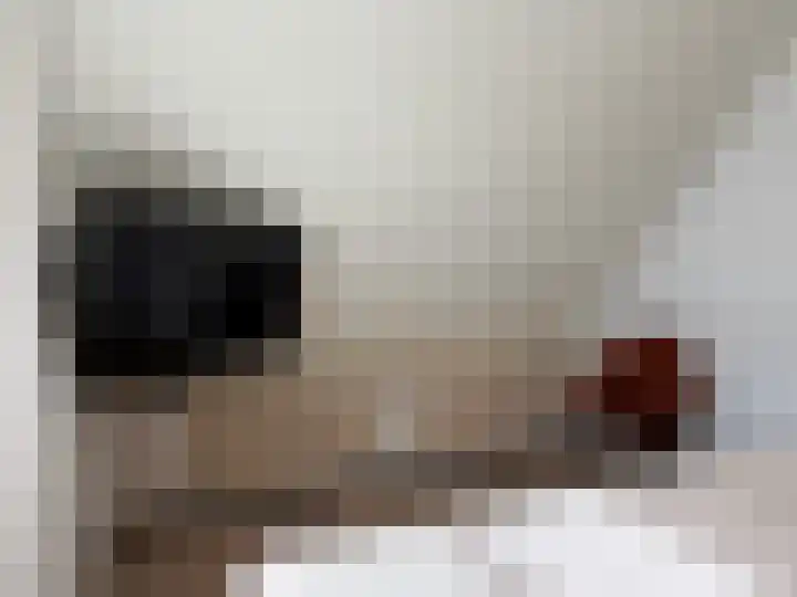 A. de Graafweg 2 Langelille thumbnail 45