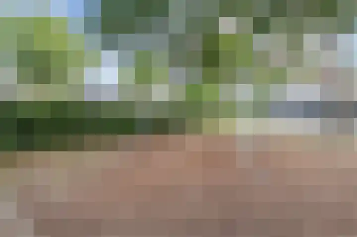 A. den Doolaardstraat 3 Almere thumbnail 36