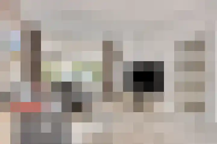 A. Frederikshof 20 Purmerend thumbnail 11