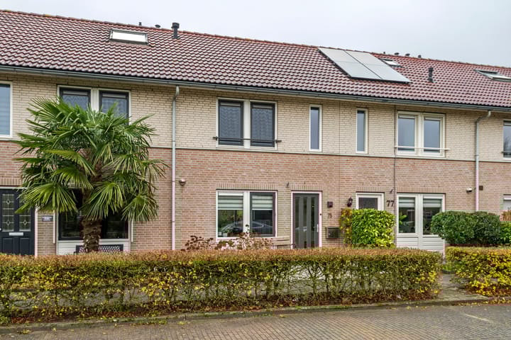 A.H.H. Tolhuisenstraat 75 in Meteren foto