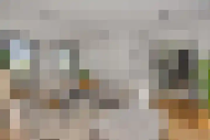 A S Talmaplein 18 Franeker thumbnail 14