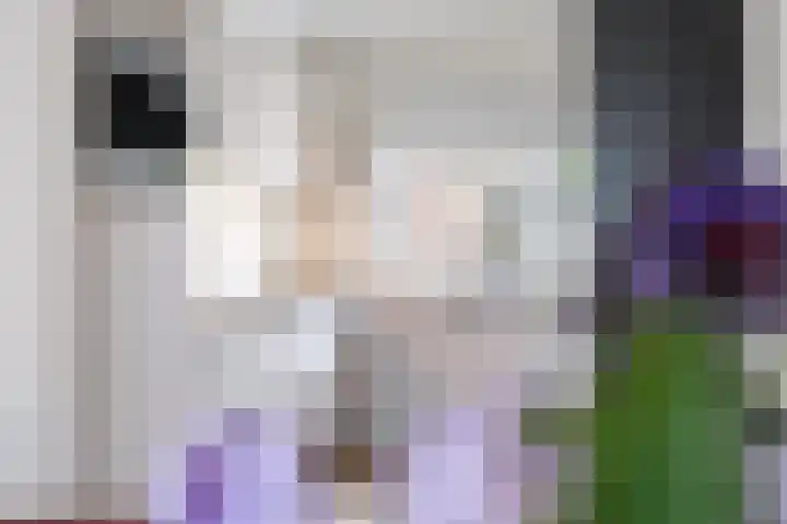 A S Talmaplein 18 Franeker thumbnail 16