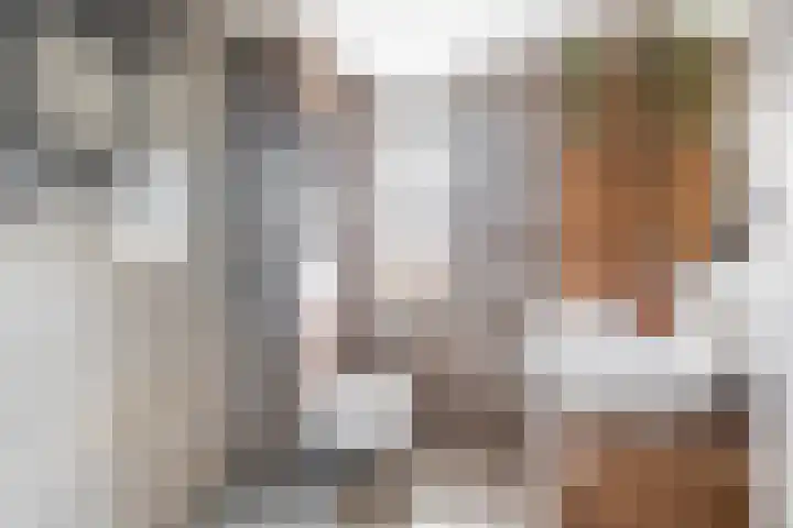 A S Talmaplein 18 Franeker thumbnail 23