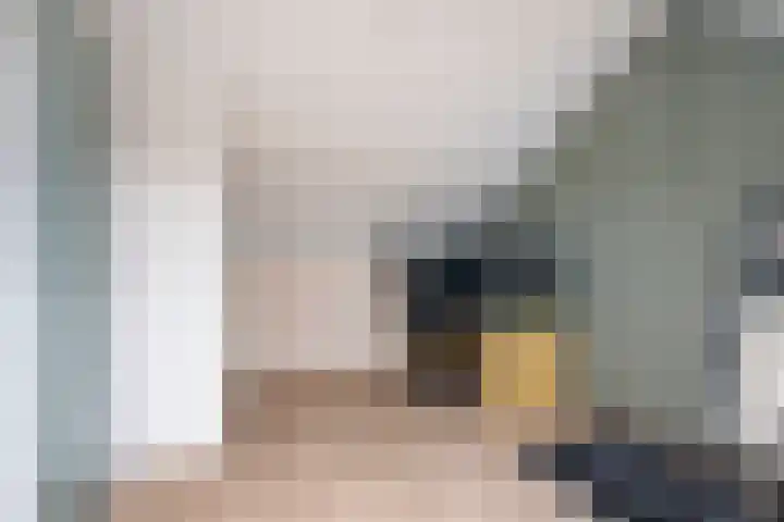 A S Talmaplein 18 Franeker thumbnail 27