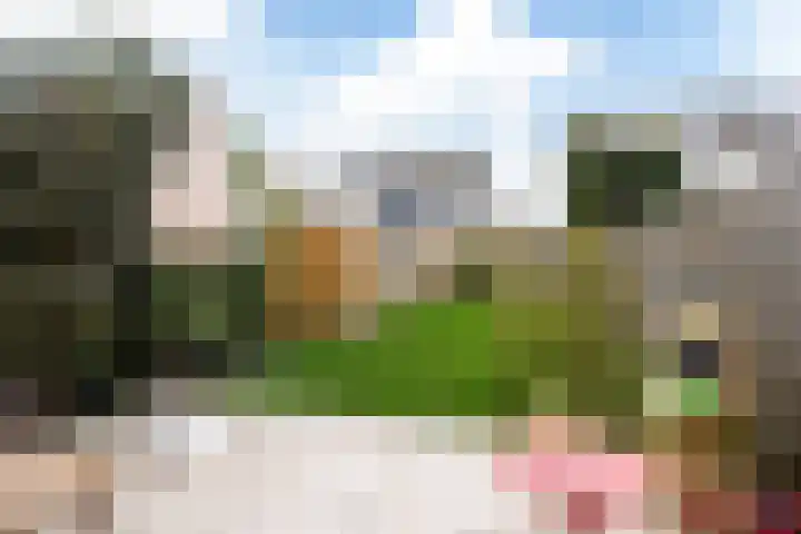A S Talmaplein 18 Franeker thumbnail 31