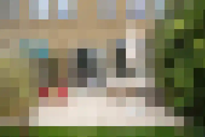 A S Talmaplein 18 Franeker thumbnail 33