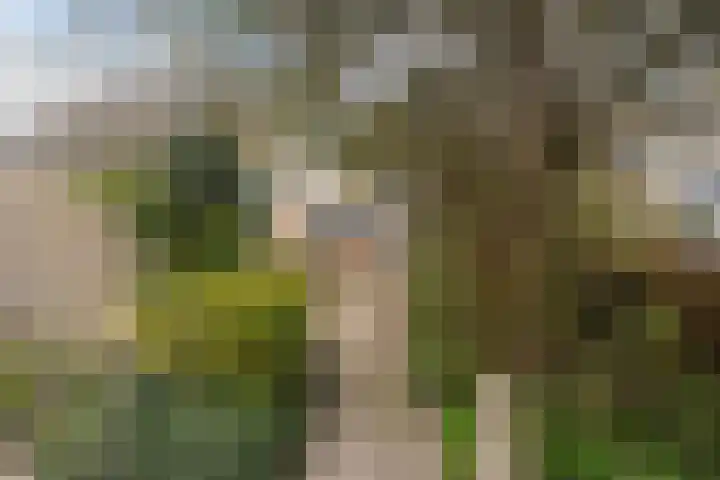 A S Talmaplein 18 Franeker thumbnail 40