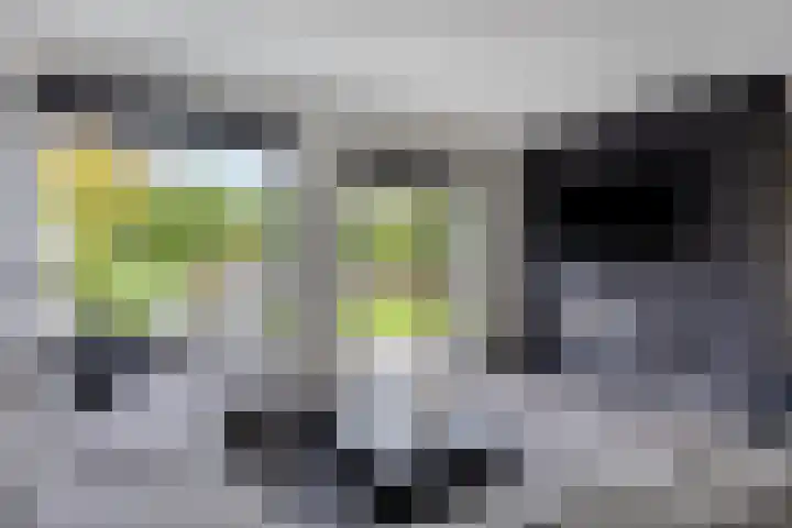 A S Talmaplein 29 Franeker thumbnail 14