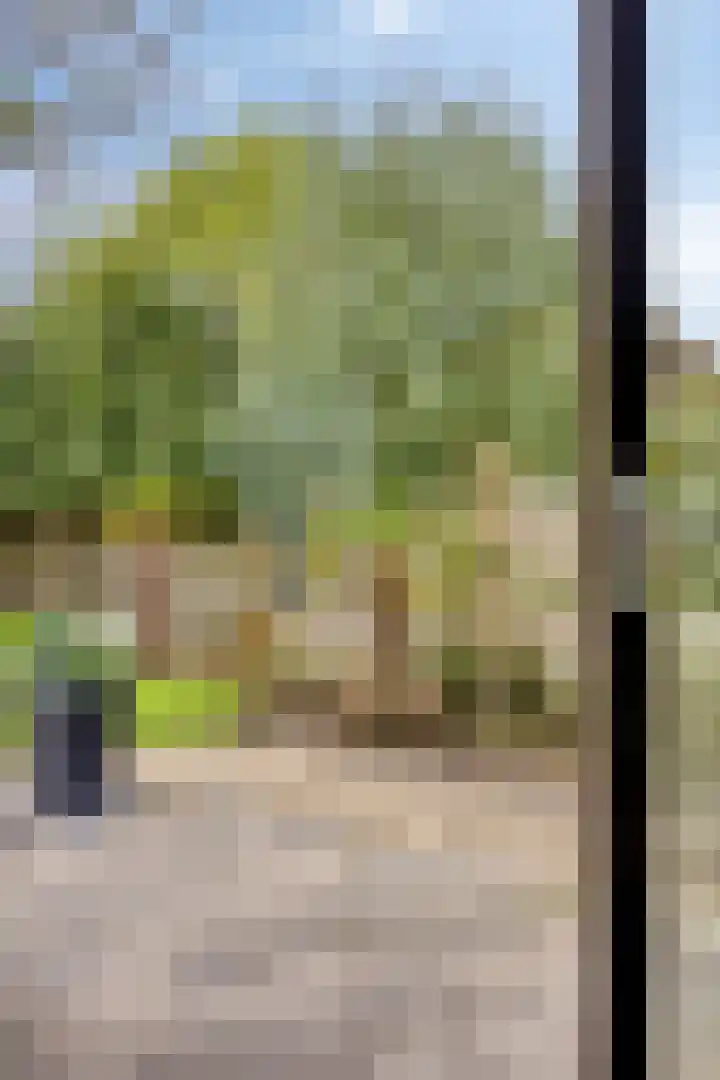 A S Talmaplein 29 Franeker thumbnail 27